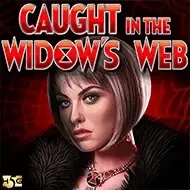 Caught in the Widow's WebHighfive game icon
